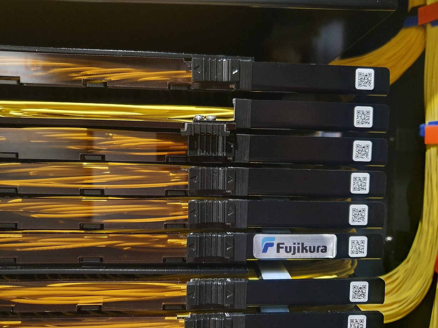 Rows of yellow optical fibre patch cables plugged into the front of a rack-mounted fibre distribution unit.