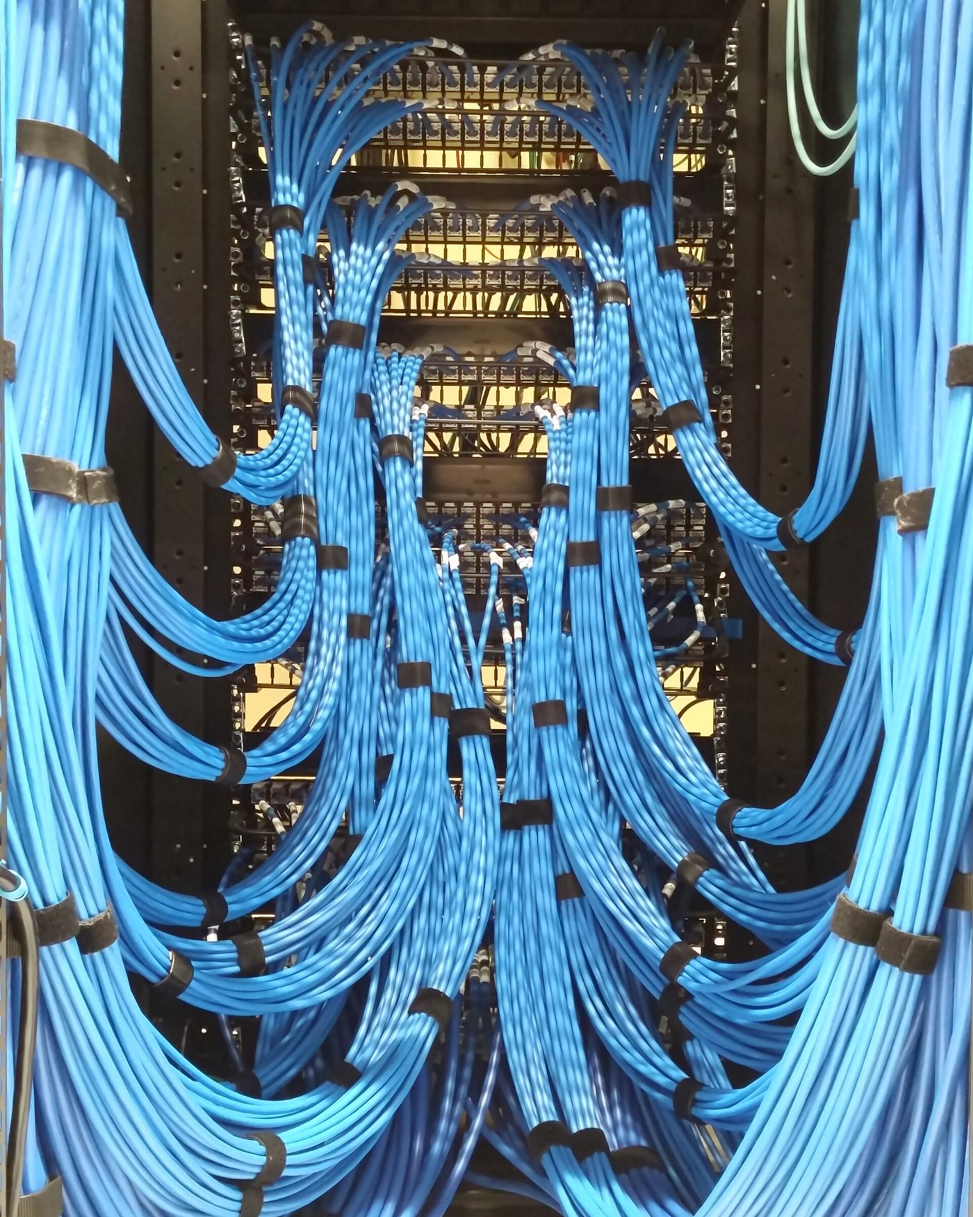 The rear of a data centre Ethernet patch panel, hundreds of blue cables bundled and dressed into vertical runs.