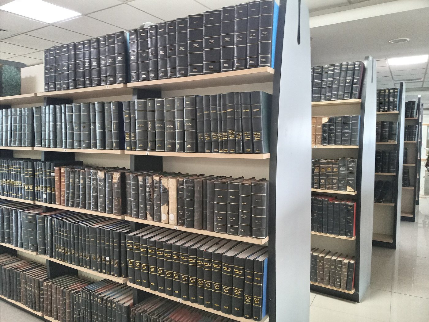 Des rayonnages de bibliothèque remplis de volumes de revues savantes reliés, de couleur sombre.
